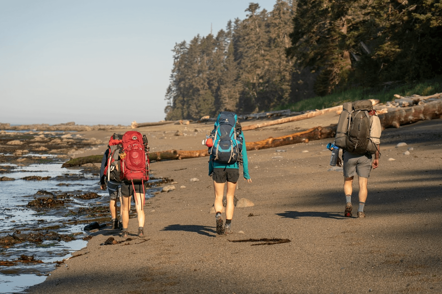 The West Coast Trail Hike: Guide to a Hike of a Lifetime – HK Treks